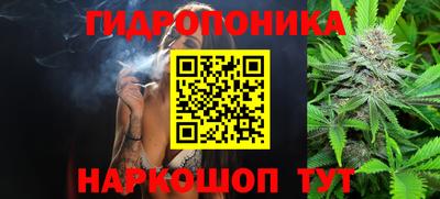 ешки Краснознаменск