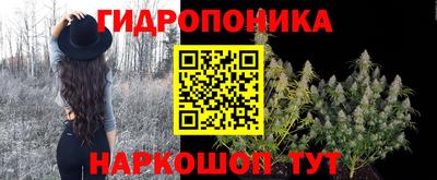 ешки Краснознаменск