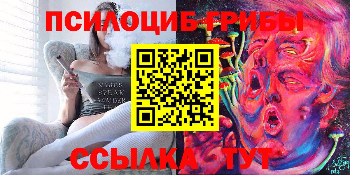 Псилоцибиновые грибы прущие грибы Кинель