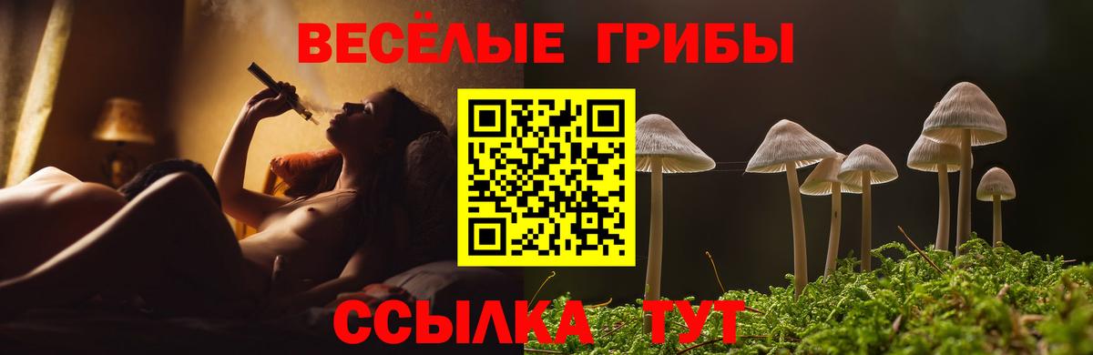 Кинель  Псилоцибиновые грибы Psilocybine cubensis  Вход с VPN 